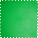 Зеленый RAL 6029 